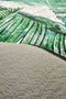 Conceptum Alfombra de Pasillo Wild Multicolor 80 x 150 cm